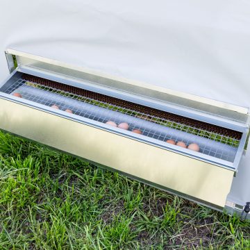 10 x 12 Alumi-Coop [Nest Box Open]