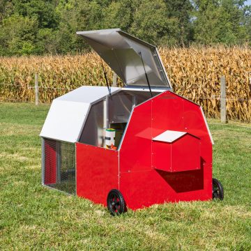 4 x 6 Redline Coop [Back, Roof Open]